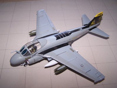 Grumman A-6E