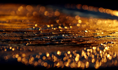 Morning dew on board