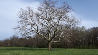 20180411_154804.jpg