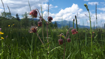 20180512_131339.jpg