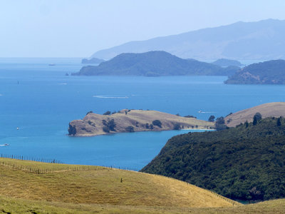 view from above coromandel town