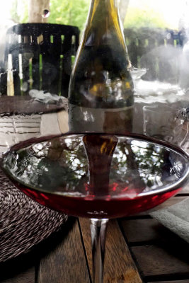 viewing the world through a glass of pinot noir...