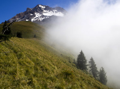 Fog wafting up into Paradise Park