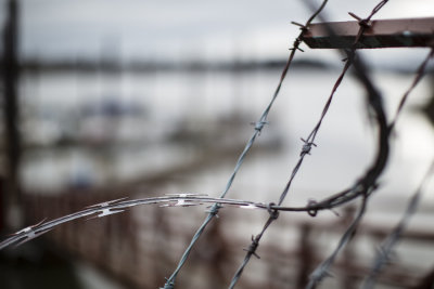 razor wire