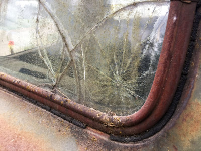 windshield 1