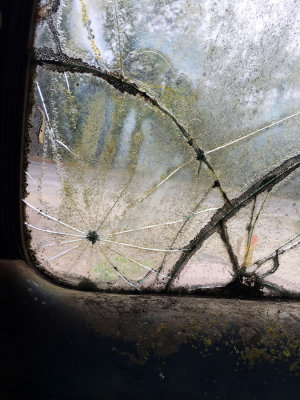 windshield 3