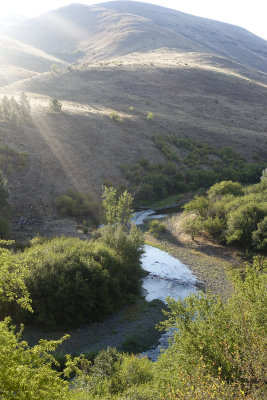 Morning light on the river