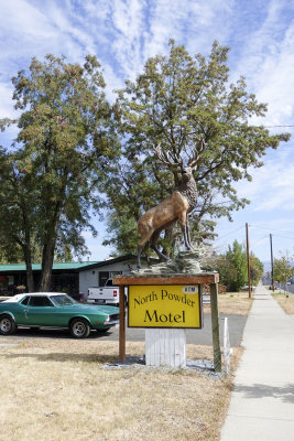 Stag Motel