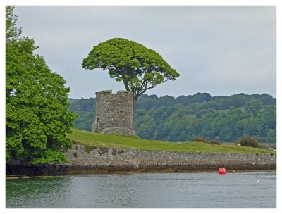 Strangford Lough Gallery