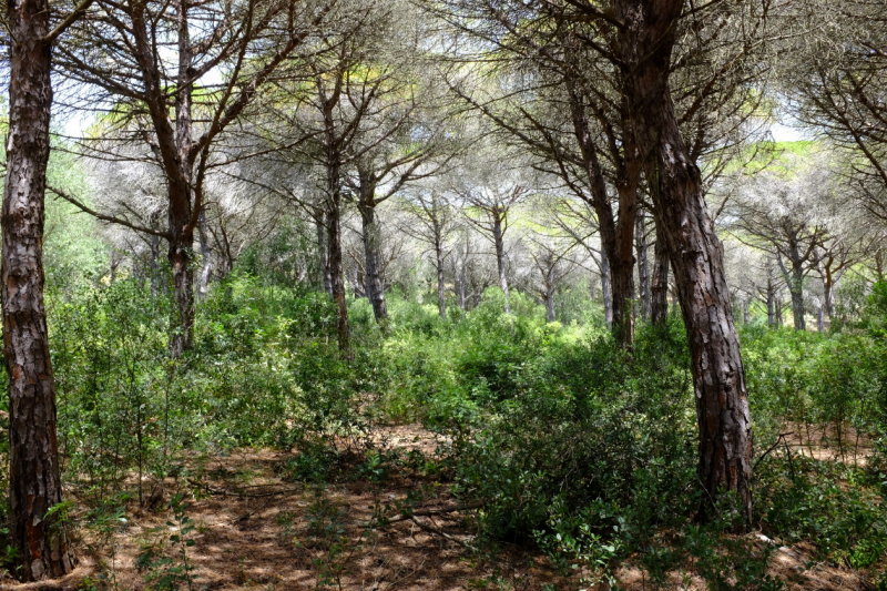 Parque Natural La Brea
