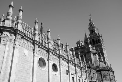 DSCF7299.jpg