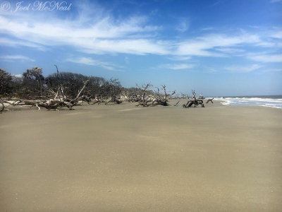 St. Catherines Island, GA