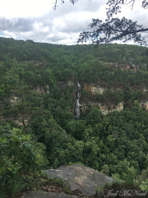 Waterfall: Cloudland Canyon State Park