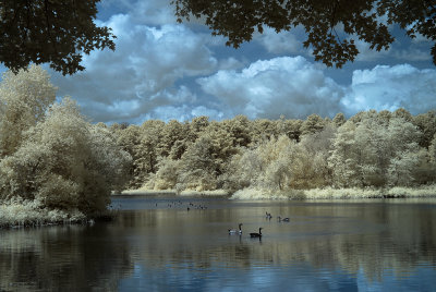 Ice Pond