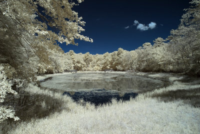 Ridge Pond