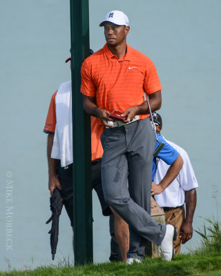 Tiger Woods