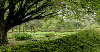 DSCF2718Edit.jpg