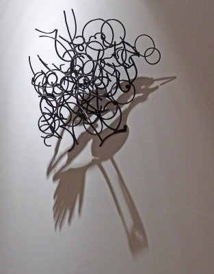 vero-the twisted wire produces bird image when light is shined on it.