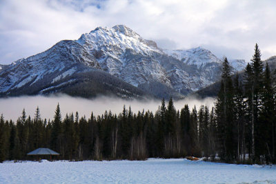View from the guest cottage