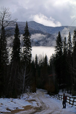 Driveway