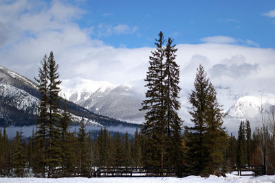 Ranch grounds