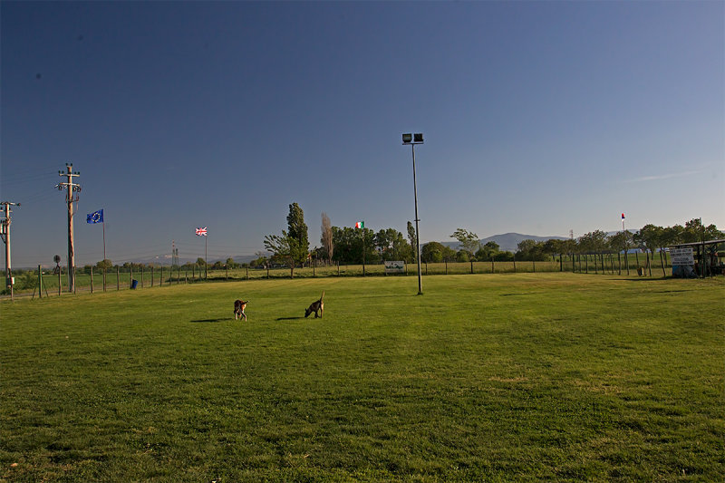 ED9F7690.jpg