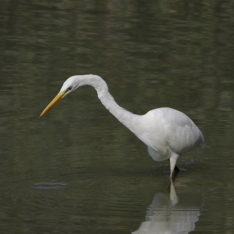 DSCN1225.jpg