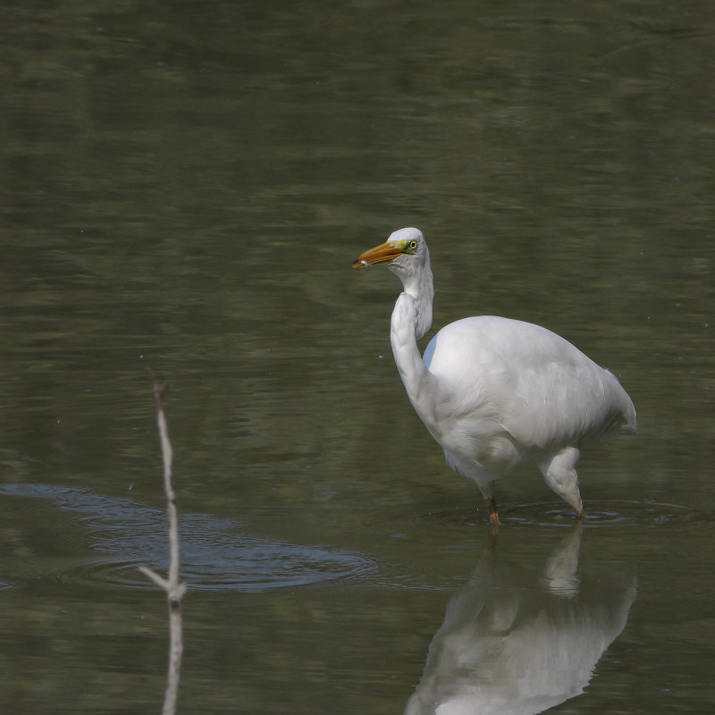 DSCN1230.jpg
