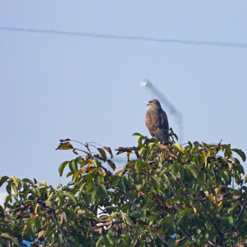 DSCN1253.jpg