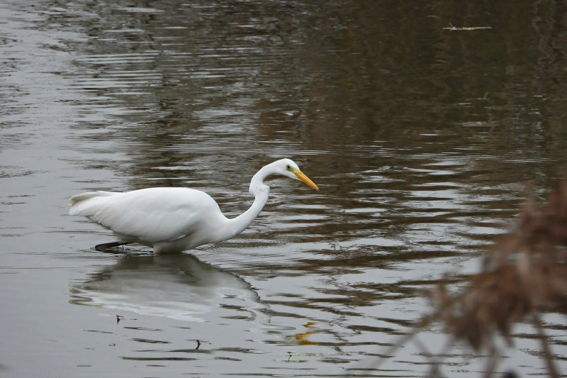 DSCN1680.jpg