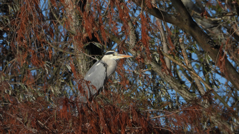 DSCN2251.jpg