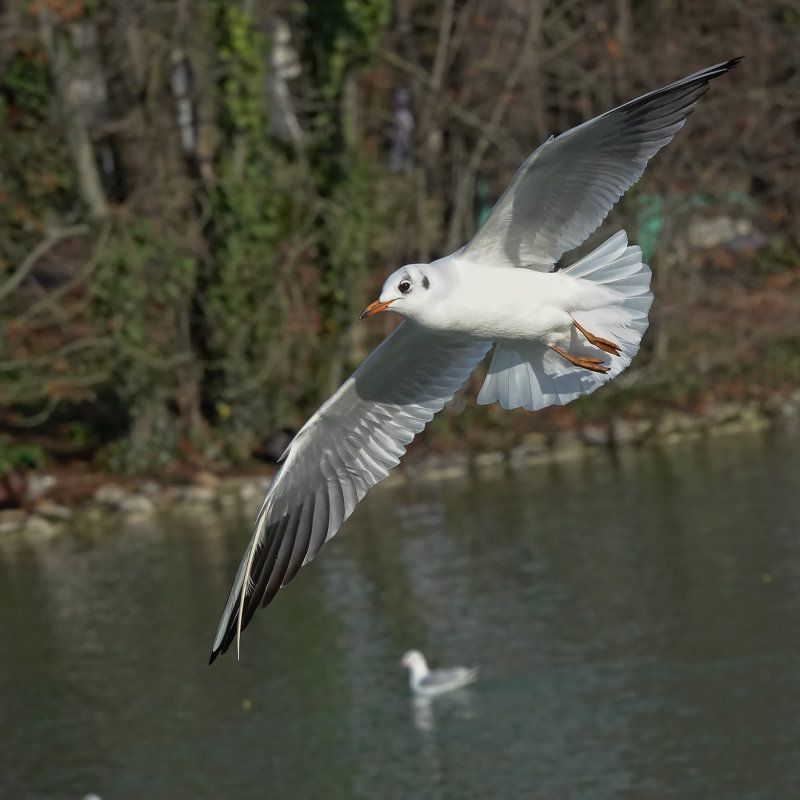 DSC03306.jpg