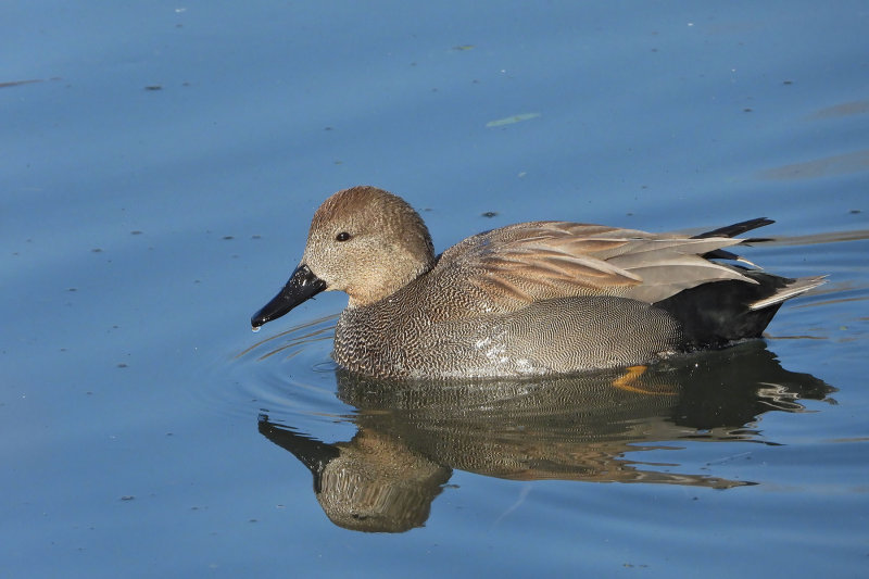 DSCN3382.jpg