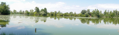 DSC03989.jpg