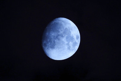 luna----1.jpg