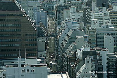 Tokyo vue de l'htel Prince Park Tower - IMGP1033.JPG