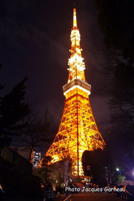 Tokyo Tower - IMGP1258.JPG
