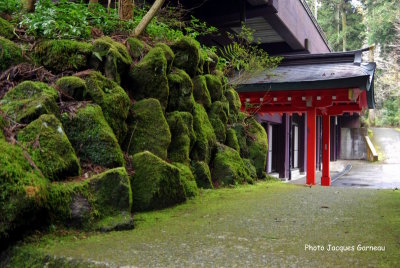 Sanctuaire shinto de Hakone - IMGP1345.JPG