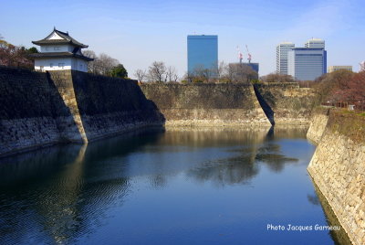 IMGP2685.JPG