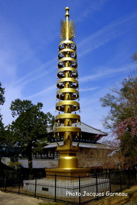 IMGP2843.JPG