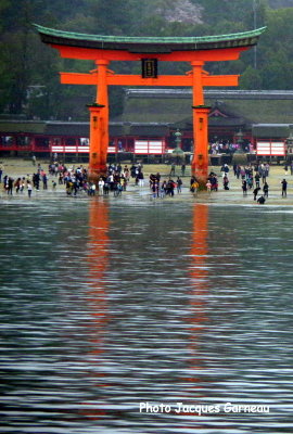 Torii d'Itsukushima, le de Miyajima, Japon - IMGP3531.JPG