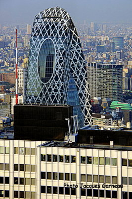 Vue de l'Observatoire de la Mairie de Tokyo - IMGP4841.JPG