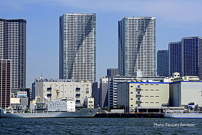 IMGP5048.JPG