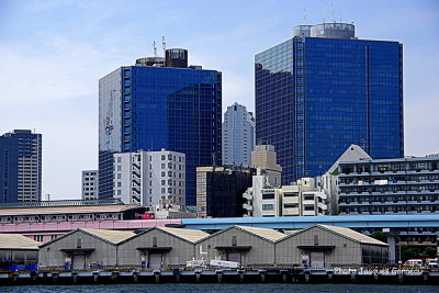 IMGP5050.JPG