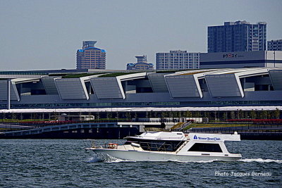 IMGP5059.JPG