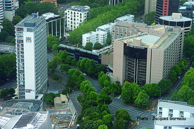 g10/77/1061077/3/167266446.9sTbLmEn.jpg