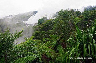 Te Puia, Rserve thermale de Te Whakarewarewa, Rotorua, N.-Z. - IMGP0001.JPG