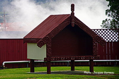 Te Puia, Whakarewarewa, (prs de Rotorua), N.-Z. - IMGP0059.JPG