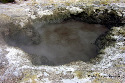 Parc national (Thermal Park) de Wai-O-Tapu, N.-Z. - IMGP0178.JPG