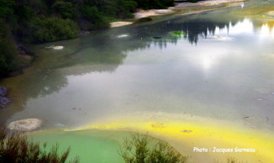 Parc national (Thermal Park) de Wai-O-Tapu, N.-Z. - IMGP0189.JPG